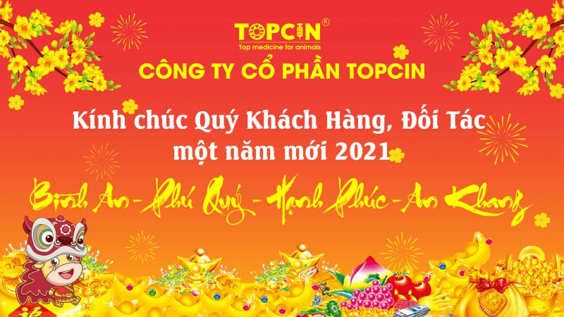 TOPCIN – Chúc Mừng Năm Mới Tân Sửu 2021